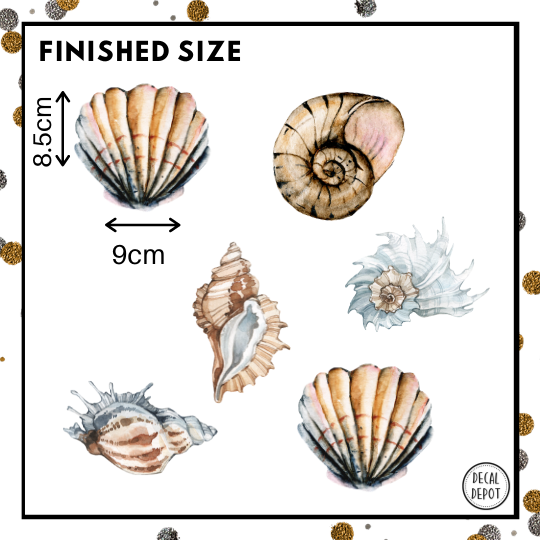 Shells Mini Decal Set
