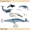 Whales Wall Decals