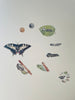 Life Cycles Wall Decals